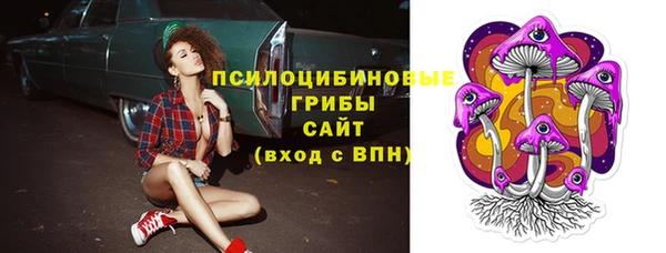 метамфетамин Богородицк